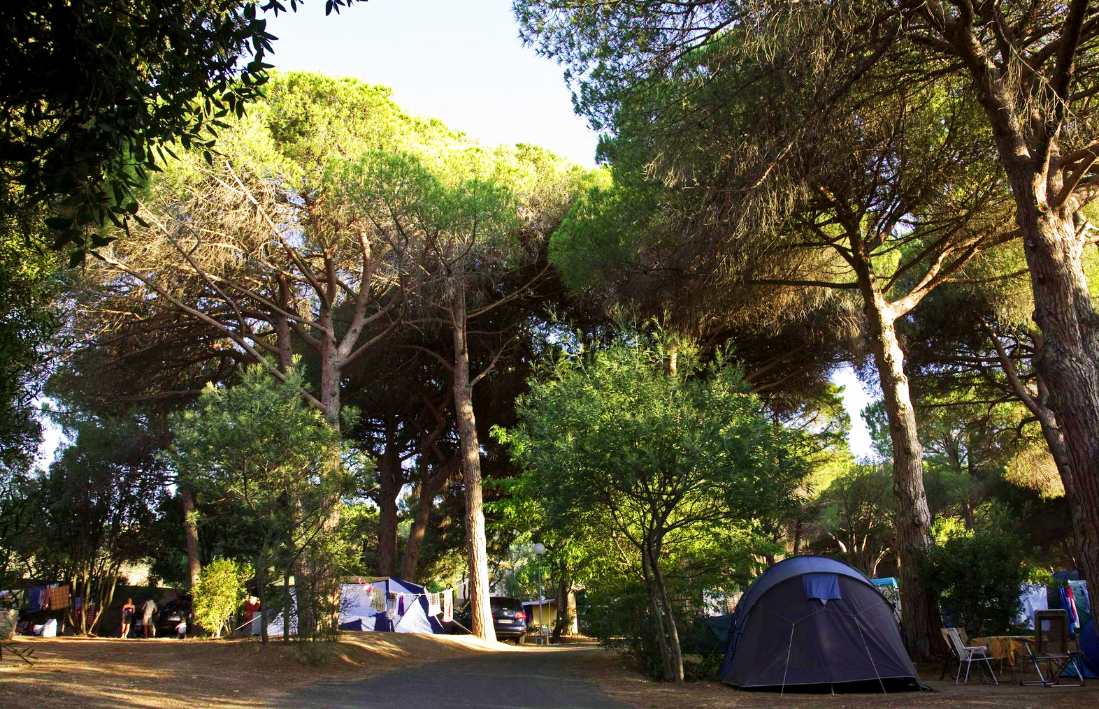 Toile de tente camping - Calvi